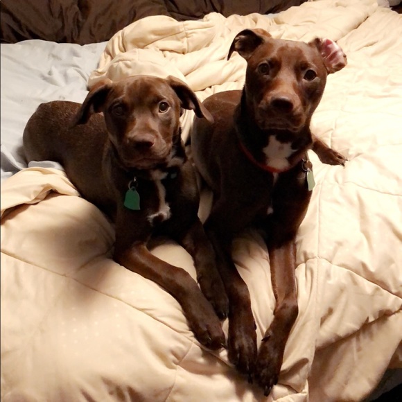 Meet Me! 😊💕 - Picture 5 of 5